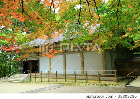 Chuson-ji寺廟在秋天 Chuson-ji寺廟在秋天 39809280