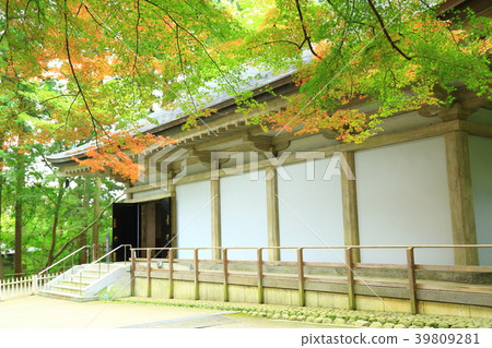 Chuson-ji寺廟在秋天 39809281