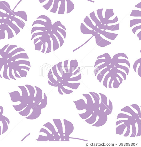 Seamless pattern of purple monstera leaves. Tropic 39809807