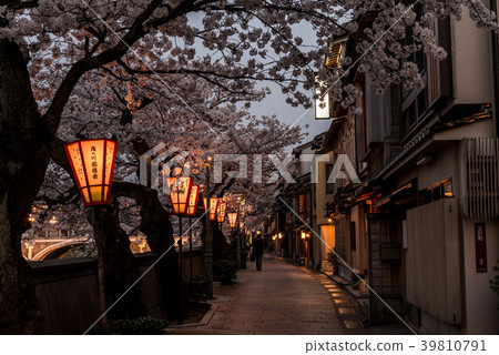 櫻花綻放的城市的晚上視圖 39810791