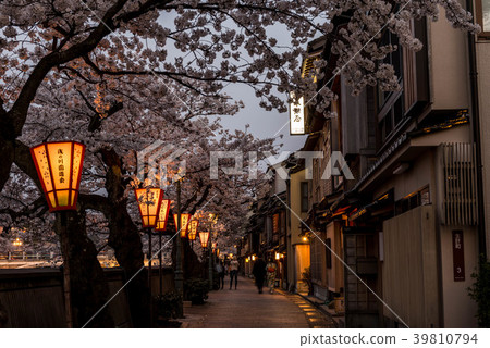 櫻花綻放的城市的晚上視圖 櫻花綻放的城市的晚上視圖 39810794