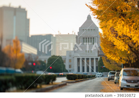 秋葉銀杏樹和國民議會大廈 秋葉銀杏樹和國民議會大廈 39810872