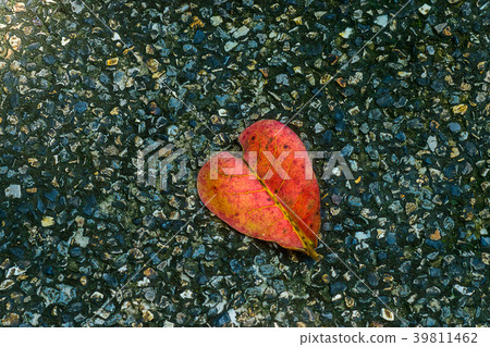 Heart-shaped leaves on stone floor Heart-shaped leaves on stone floor 39811462