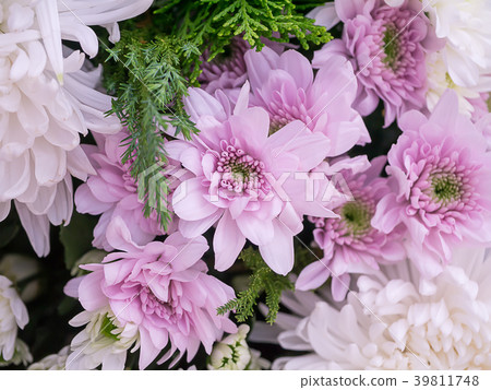 Flower arrangement with chrysanthemum Flower arrangement with chrysanthemum 39811748