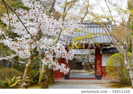 Josho-ji and cherry blossoms 39812168