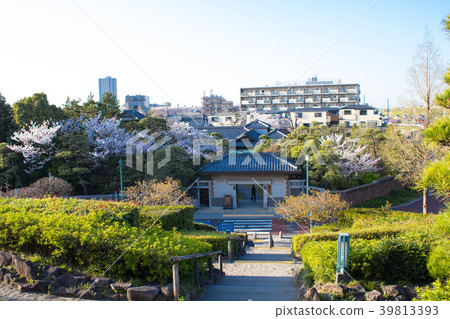 Shibamata Satoshi Memorial Hall and Sakura 39813393