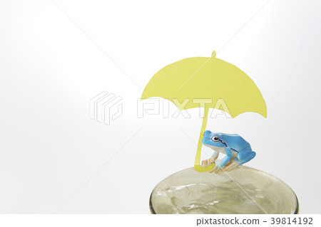 Yellow umbrella frog 39814192