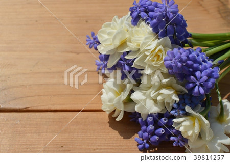 Bouquet of Muscari and Narcissus Bouquet of Muscari and Narcissus 39814257