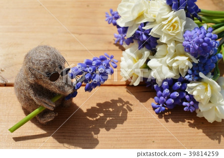Bouquet of muscari and narcissus 39814259