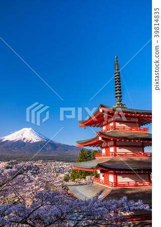Scenery symbolizing Japan [Yamanashi Prefecture, Arakurayama Sengen Park] 39814835