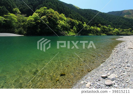 一條清澈的小溪流淌著新鮮的綠色 39815211