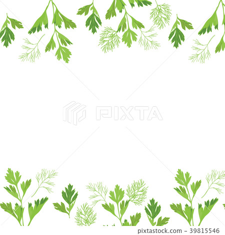 frame with parsley and dill 39815546