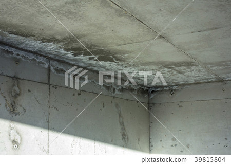 Concrete Shirakaba phenomenon 39815804