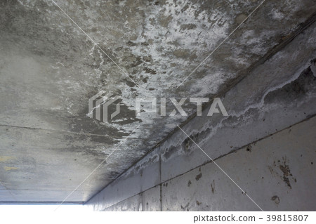 Concrete Shirakaba phenomenon Concrete Shirakaba phenomenon 39815807
