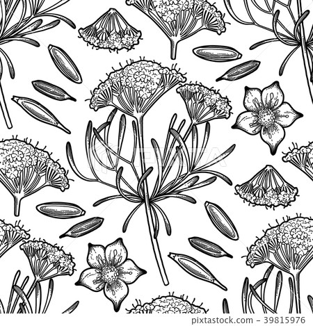 Graphic cumin pattern 39815976