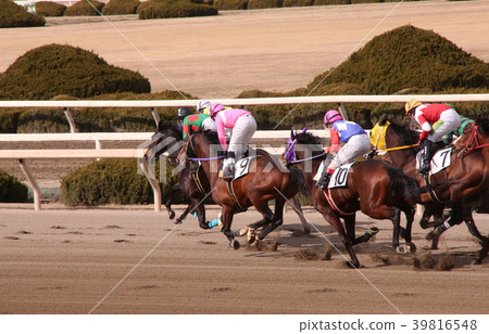 索諾達賽馬場 39816548