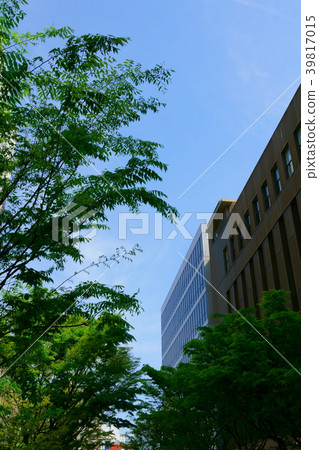 查尋從街道的城市天空1 查尋從街道的城市天空1 39817015