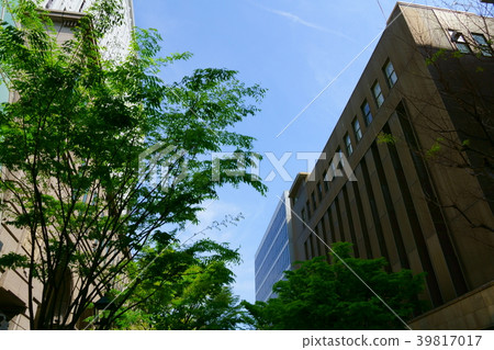 City sky 2 looking up from the street 39817017