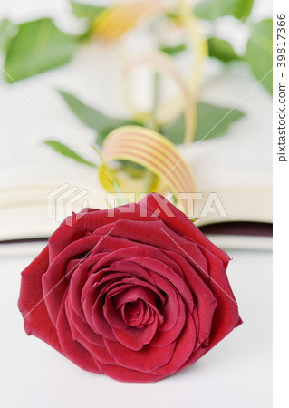 red rose, book and Catalan flag 39817366