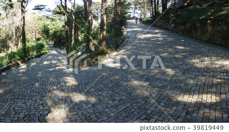 Paved u-shape curve in the forest 39819449