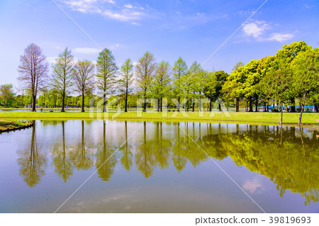 (東京)春天的水本公園 (東京)春天的水本公園 39819693