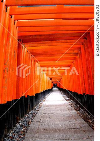 Fushimi Inari Taisha Shrine beautiful torii gate Fushimi Inari Taisha Shrine beautiful torii gate 39820203