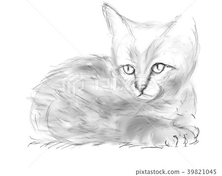 Cat illustration 39821045