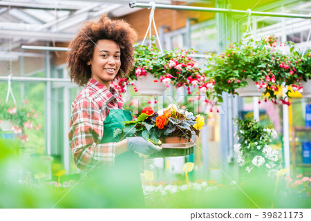 Side view of a dedicated florist holding a tray Side view of a dedicated florist holding a tray 39821173