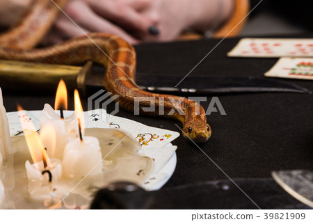 snake crawls out on the table in front of witch snake crawls out on the table in front of witch 39821909