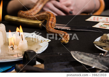 snake crawls on the table with ritual objects snake crawls on the table with ritual objects 39821910