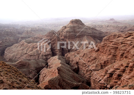 Zhang Yin Dan 39823731