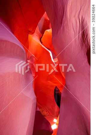 Antelope Canyon in the Navajo Reservation, purple Antelope Canyon in the Navajo Reservation, purple 39824664