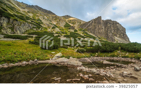 Mountain Landscape 39825057