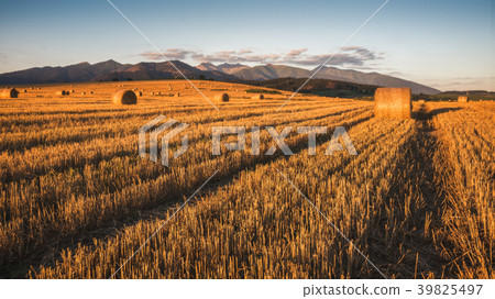 Harvested Field with Hay Bales Under Mountains 39825497