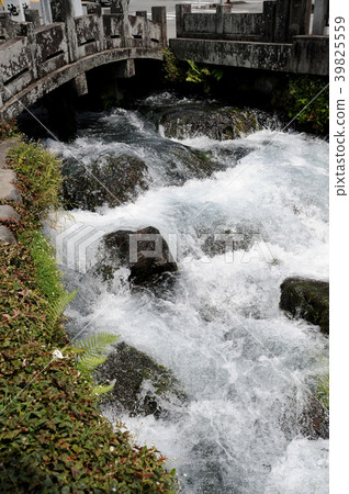 Fujinomiya Kandagawa 39825559