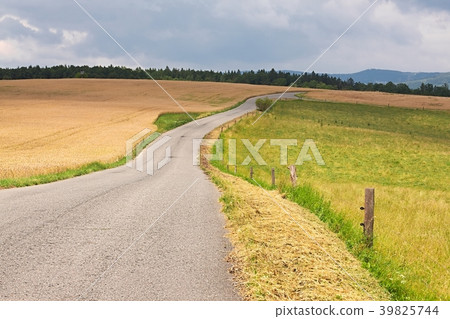 Road through farmlands Road through farmlands 39825744