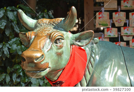 Iwabuchi步行：在Sak市Kuizu神社北野天滿宮的牛 39827100