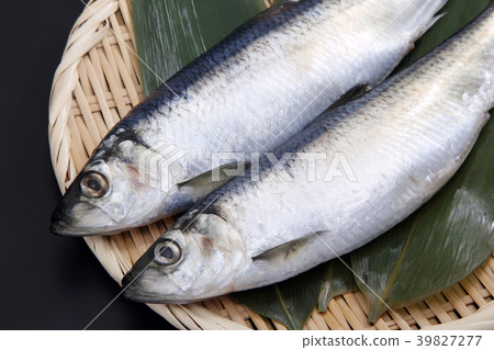 鯡魚 39827277