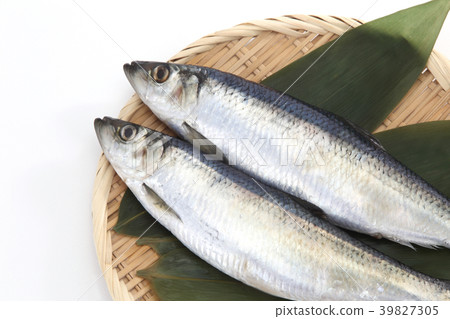 鯡魚 39827305