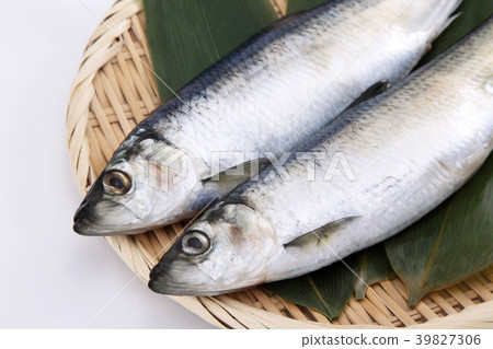 鯡魚 鯡魚 39827306