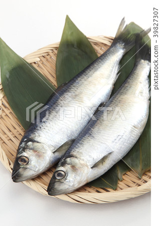 鯡魚 鯡魚 39827307