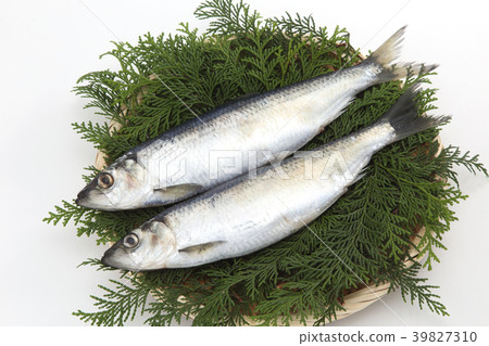 Herring Herring 39827310