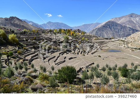 Superb view of India Naco village in the Kinaul Valley Beautiful mountains and fields Superb view of India Naco village in the Kinaul Valley Beautiful mountains and fields 39827460