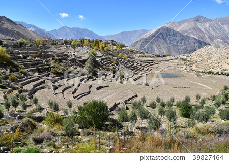 Superb view of India Naco village in the Kinaul Valley Beautiful mountains and fields Superb view of India Naco village in the Kinaul Valley Beautiful mountains and fields 39827464