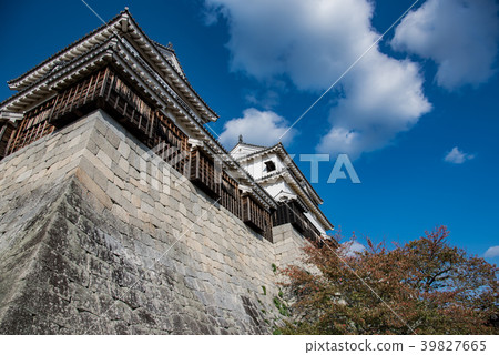 愛媛縣松山城本丸 39827665