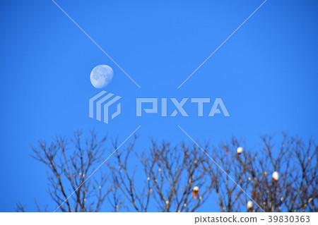 Morning Moon Morning Moon 39830363