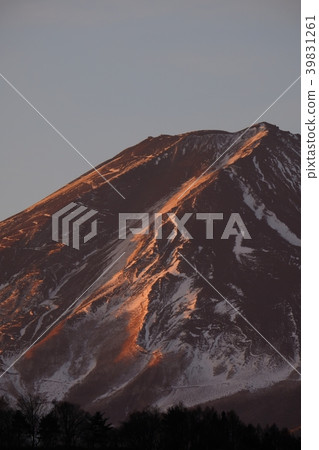 富士山（曬傷，特寫，垂直） 39831261