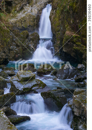 [Gifu Prefecture] Kosaka no Taki Falls 39836460