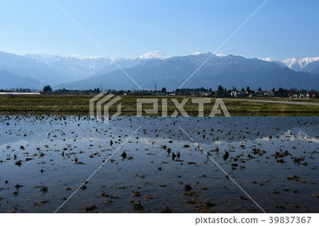 Azumino in early spring 39837367