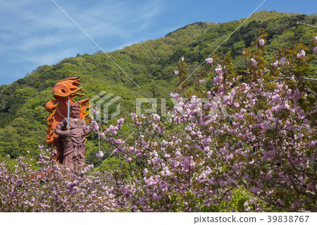 Button of Ichinoseji Temple cherry 39838767